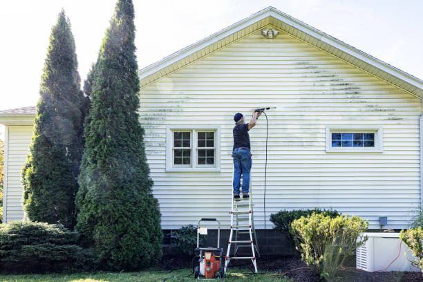 Best Building Exterior Washing  in Jasper, AL